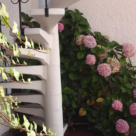 Ferienhaus Estudio Mateus *